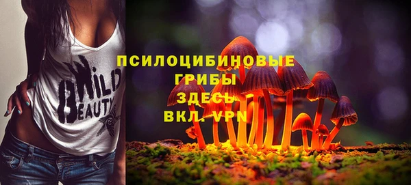 гашик Алексеевка