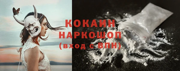 гашик Алексеевка