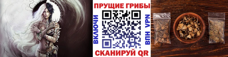 где продают   МЕГА   Галлюциногенные грибы ЛСД  Киреевск 