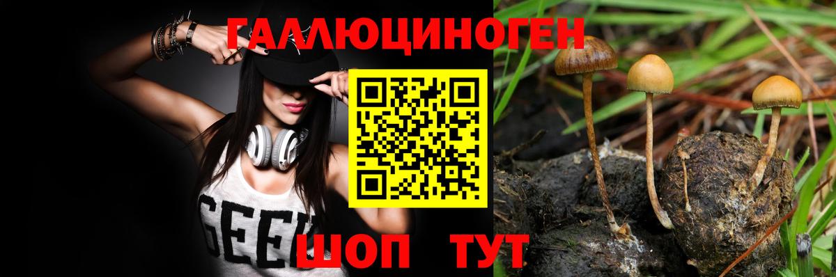 Псилоцибиновые грибы GOLDEN TEACHER  Вход с VPN  что такое   Киреевск 